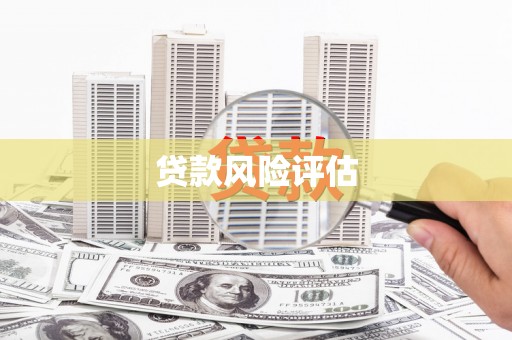 东引贷款风险评估