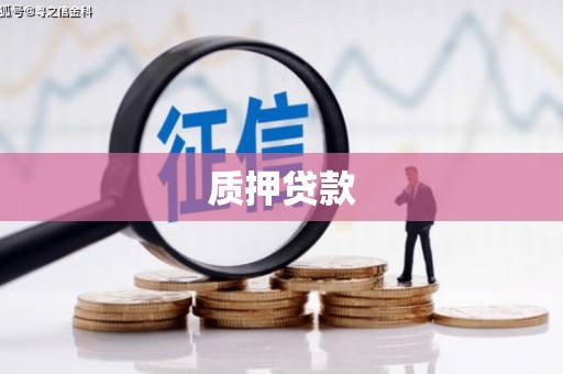 东引质押贷款