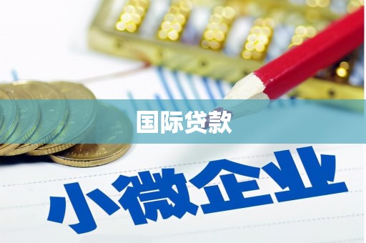 东引国际贷款