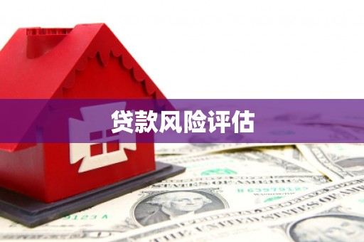 东引贷款风险评估