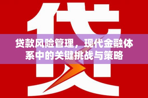 东引贷款风险管理，现代金融体系中的关键挑战与策略