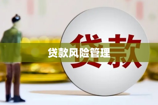 东引贷款风险管理