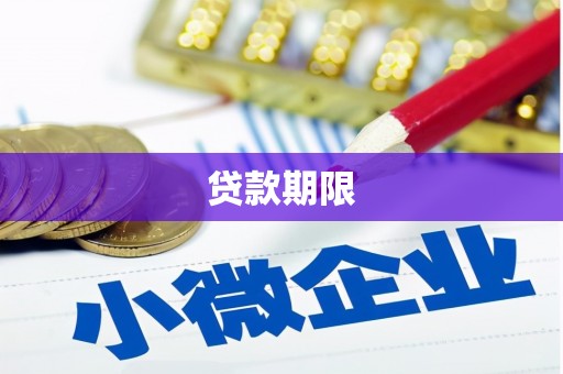 东引贷款期限