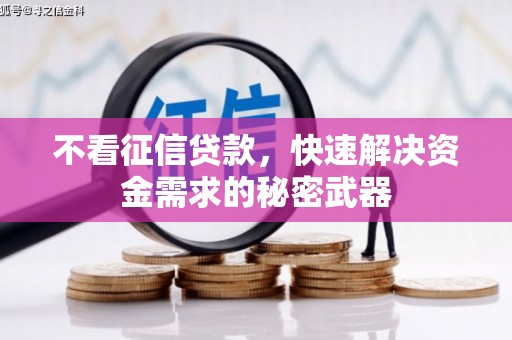东引不看征信贷款，快速解决资金需求的秘密武器