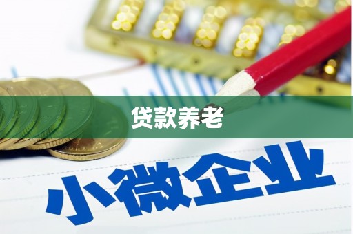 东引贷款养老