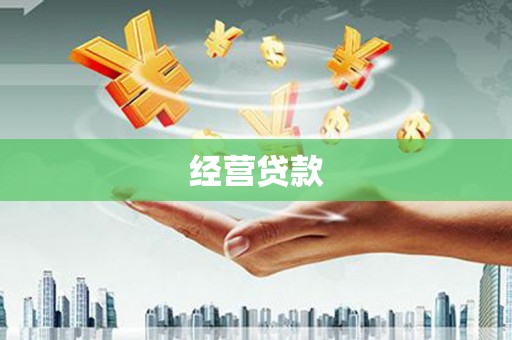 东引经营贷款