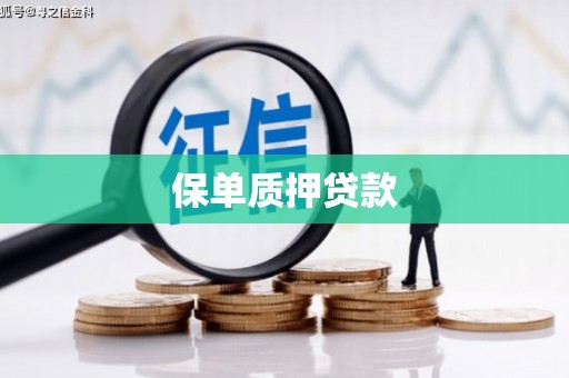 东引保单质押贷款