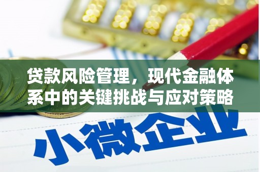 东引贷款风险管理，现代金融体系中的关键挑战与应对策略