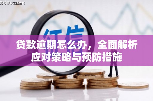 东引贷款逾期怎么办，全面解析应对策略与预防措施