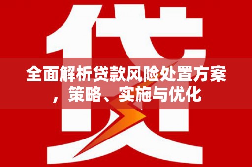 东引全面解析贷款风险处置方案，策略、实施与优化