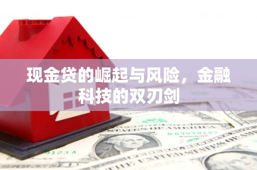 东引现金贷的崛起与风险，金融科技的双刃剑