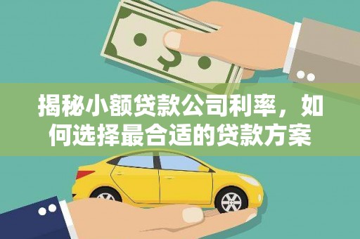 东引揭秘小额贷款公司利率，如何选择最合适的贷款方案