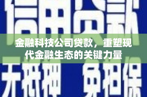 东引金融科技公司贷款，重塑现代金融生态的关键力量