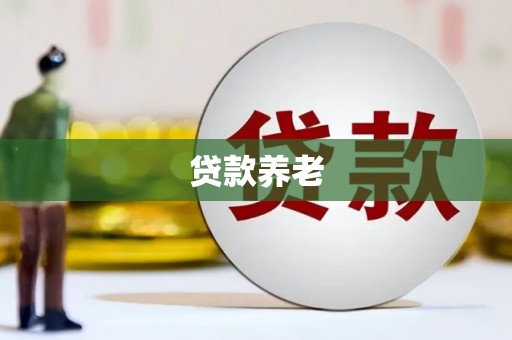 东引贷款养老