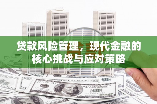东引贷款风险管理，现代金融的核心挑战与应对策略