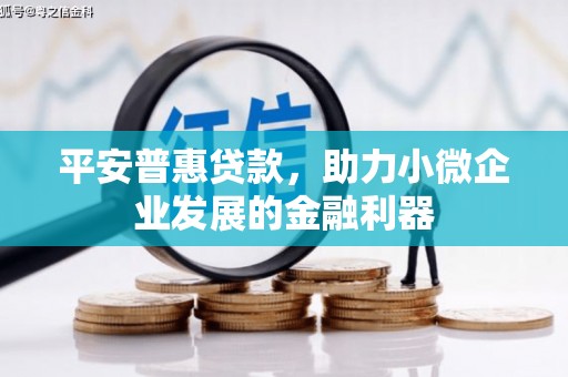东引平安普惠贷款，助力小微企业发展的金融利器