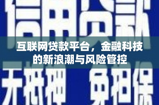 东引互联网贷款平台，金融科技的新浪潮与风险管控