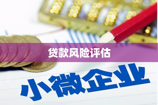 东引贷款风险评估