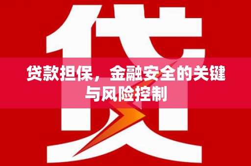 东引贷款担保，金融安全的关键与风险控制