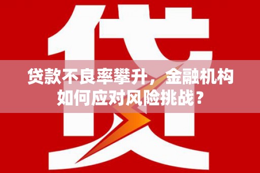 东引贷款不良率攀升，金融机构如何应对风险挑战？
