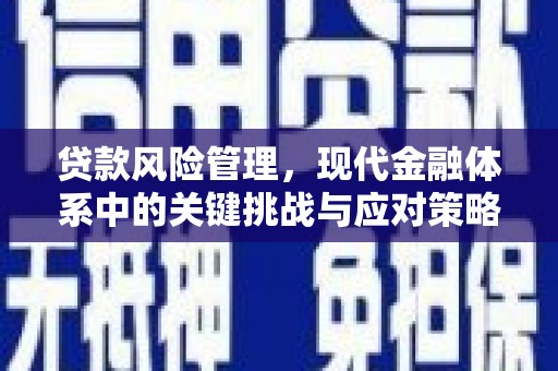 东引贷款风险管理，现代金融体系中的关键挑战与应对策略
