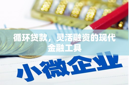 东引循环贷款，灵活融资的现代金融工具