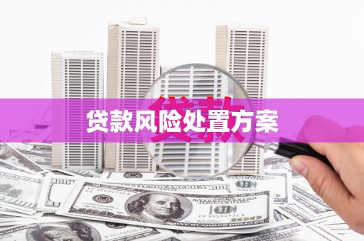 东引贷款风险处置方案