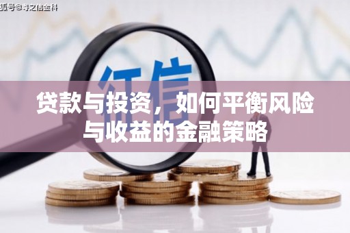 东引贷款与投资，如何平衡风险与收益的金融策略
