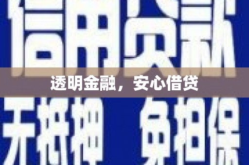 东引透明金融，安心借贷