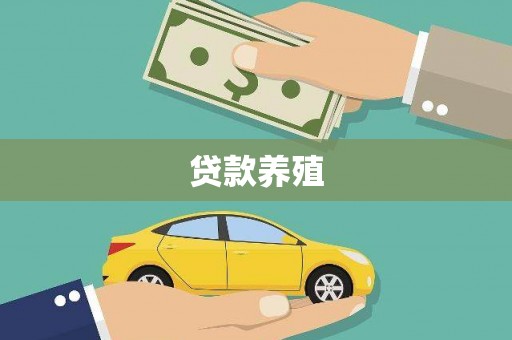 东引贷款养殖