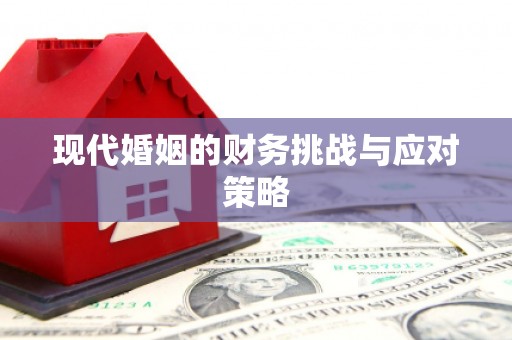 东引现代婚姻的财务挑战与应对策略